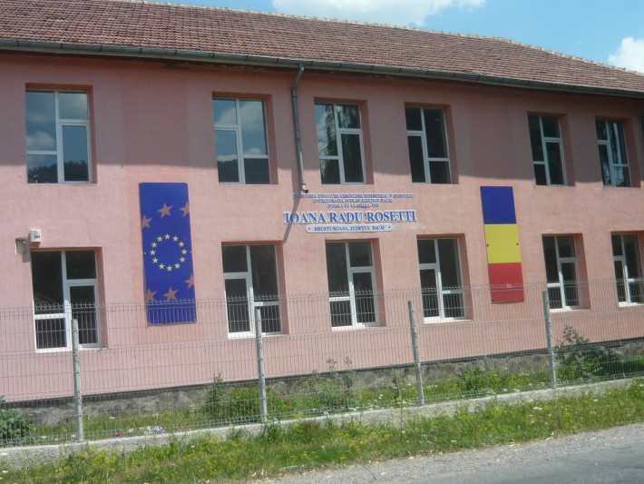 Școala Ioana Radu Rosetti în anul 2015